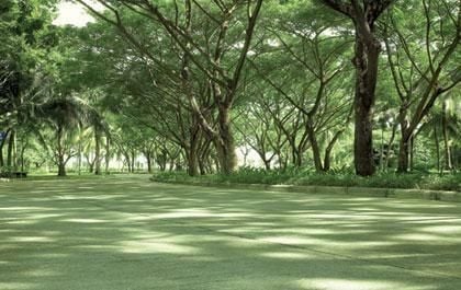 Project Name Greenside by Sansiri