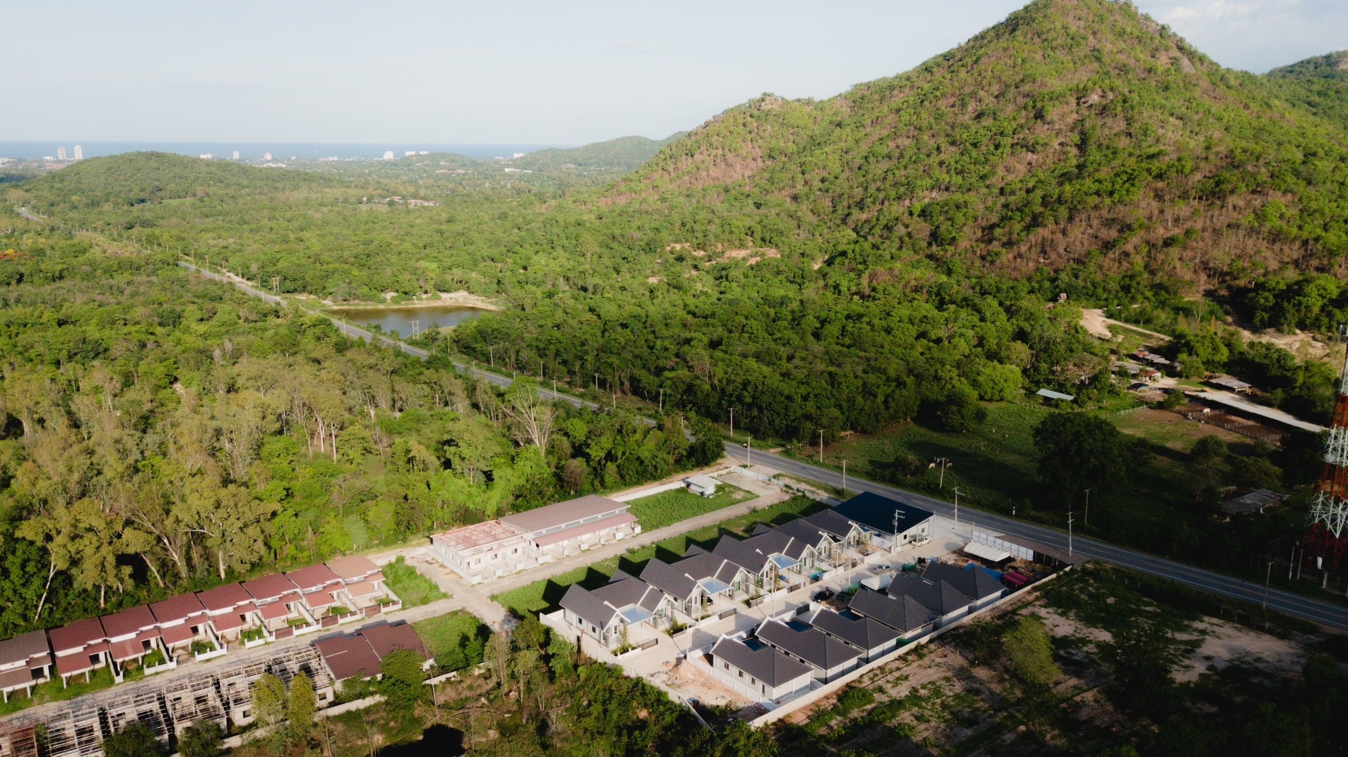 Project Name The Tree Home #12