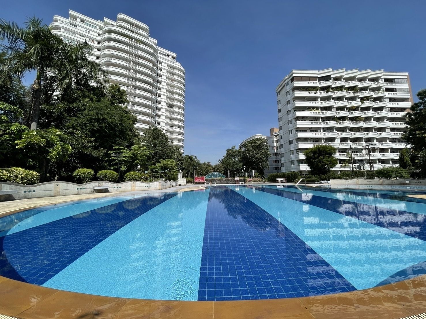 Project Name Tara Ruankaew