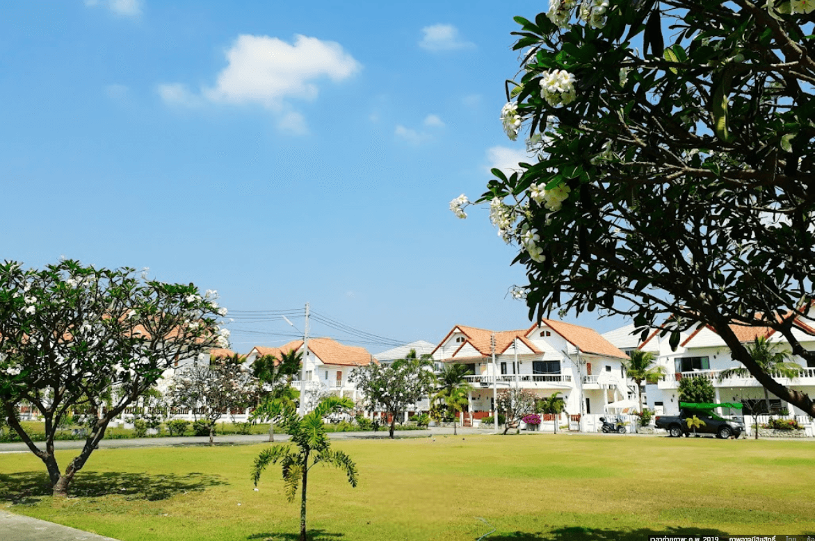 Project Name Tropical Vision