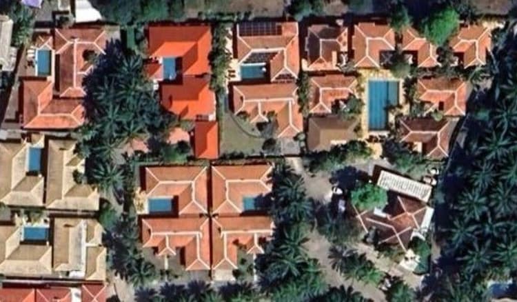 Botanica Mind main view