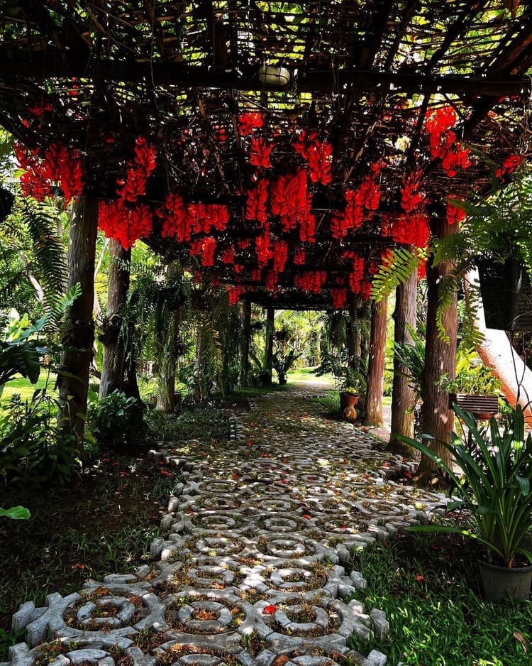 Leafy Greens main view