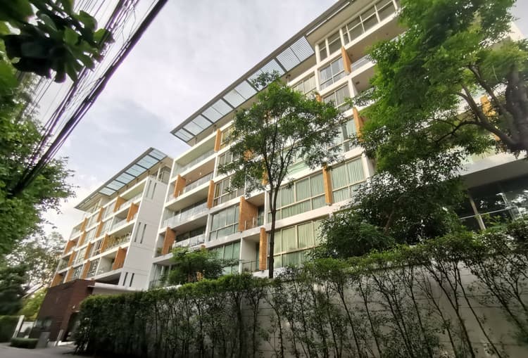 Ficus Lane main view