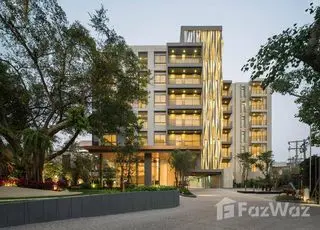 Supreme Legend main image Supreme Legend main image