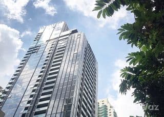 Celes Asoke main image Celes Asoke main image