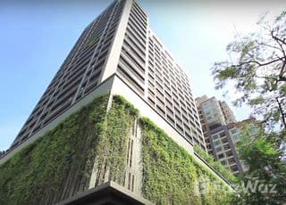 Noble Ora main image Noble Ora main image