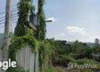 Lake Avenue main image Lake Avenue main image