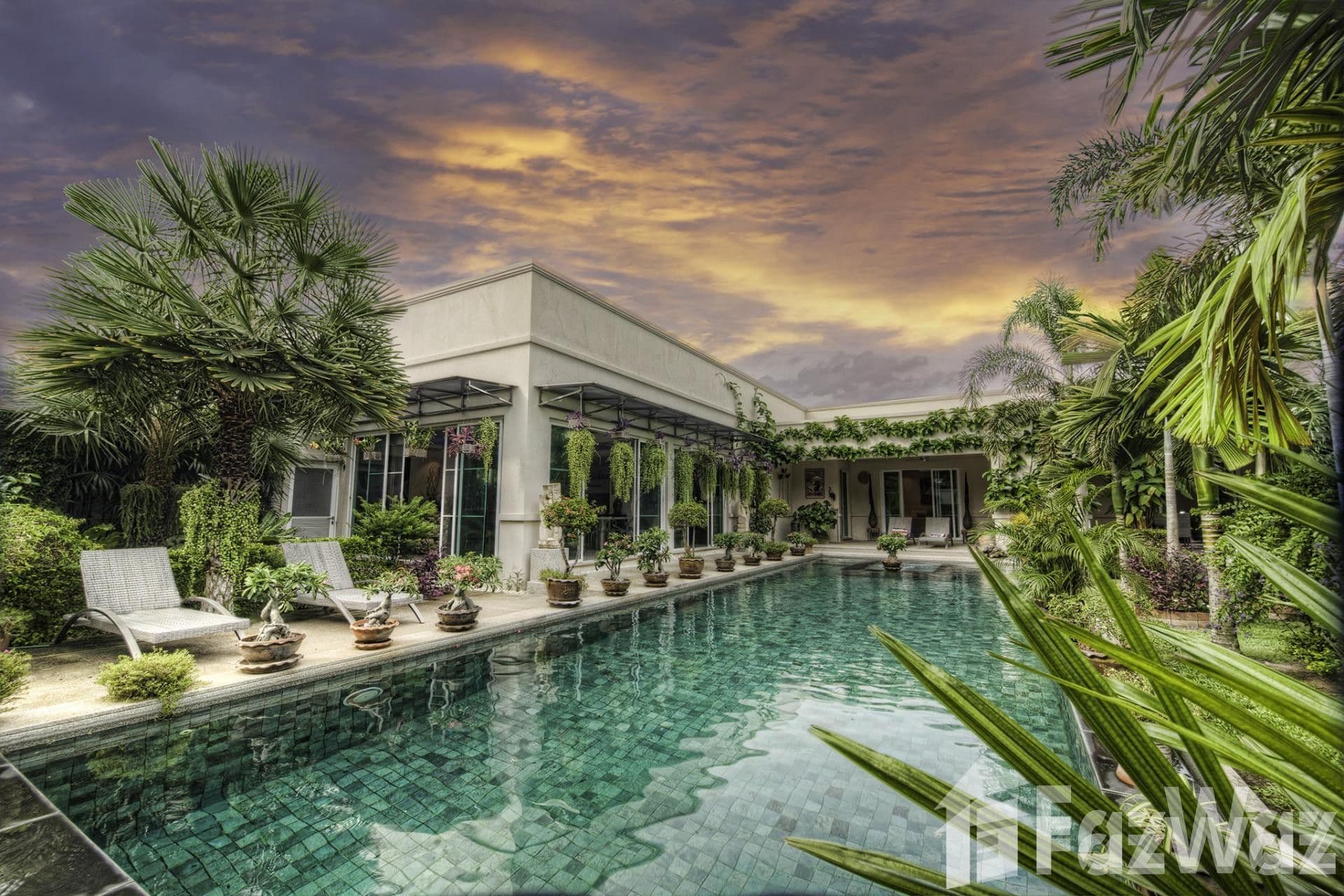 The Vineyard Phase 1