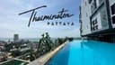 ThaiminatorPattaya ThaiminatorPattaya logo