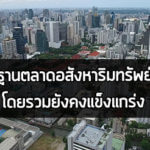 ตลาดอสังหา,ธุรกิจอสังหา,นักลงทุนอสังหา,ลงทุนอสังหา,อสังหาริมทรัพย์