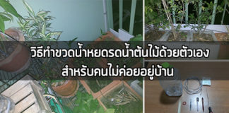 diy ขวดพลาสติก,diy ของใช้ในบ้าน,ขวดพลาสติก รีไซเคิล,ของใช้ในบ้าน,รีไซเคิล ขวดน้ํา,สิ่งประดิษฐ์จากขวดน้ํา