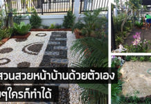 จัดสวนหน้าบ้าน ด้วยตัวเองง่าย ๆ ใครก็ทำได้ สวยด้วย!!! การจัดสวนหน้าบ้าน,จัดสวนสวยหน้าบ้าน,จัดสวนหน้าบ้าน,จัดสวนเอง,สวนหน้าบ้าน_1