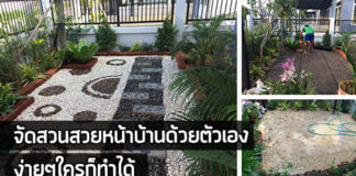 การจัดสวนหน้าบ้าน,จัดสวนสวยหน้าบ้าน,จัดสวนหน้าบ้าน,จัดสวนเอง,สวนหน้าบ้าน_1