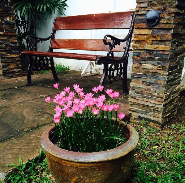 หนุ่ย อำพล,บ้านหนุ่ย อำพล,บ้าน ดารา_7