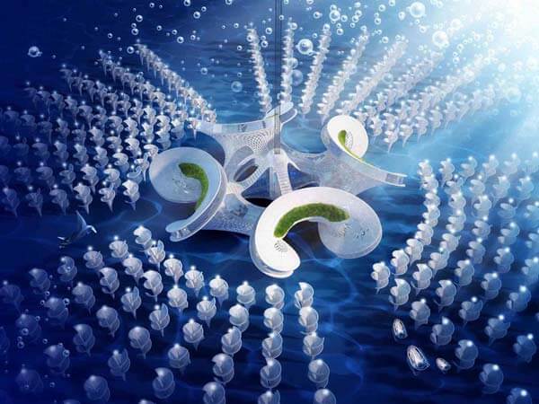 Aequorea,เมืองลอยน้ำ,บ้านลอยน้ำ