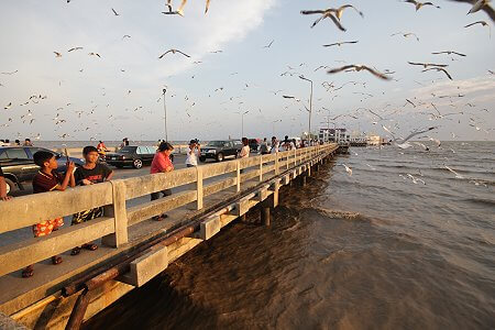 คอนโดสมุทรปราการ,ทำเลน่าอยู่,ทำเลแนะนำ,ที่ดิน สมุทรปราการ,ที่เที่ยว สมุทรปราการ,บ้านสมุทรปราการ,บ้านเดี่ยวสมุทรปราการ