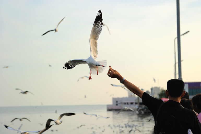 คอนโดสมุทรปราการ,ทำเลน่าอยู่,ทำเลแนะนำ,ที่ดิน สมุทรปราการ,ที่เที่ยว สมุทรปราการ,บ้านสมุทรปราการ,บ้านเดี่ยวสมุทรปราการ