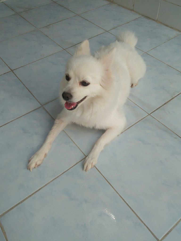 Renovate บ้าน,ปรับปรุงบ้านเก่า,รีโนเวทบ้าน,รีโนเวทบ้านงบน้อย,ไอเดียแต่งบ้าน_15