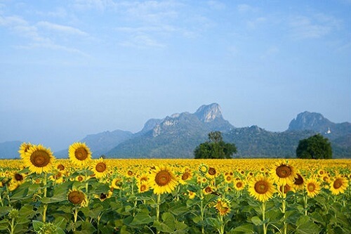 คอนโดลพบุรี,ทำเลน่าอยู่,ทำเลแนะนำ,ที่ดิน ลพบุรี,ที่เที่ยว ลพบุรี,บ้านลพบุรี,บ้านเดี่ยวลพบุรี