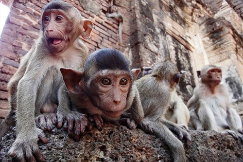 คอนโดลพบุรี,ทำเลน่าอยู่,ทำเลแนะนำ,ที่ดิน ลพบุรี,ที่เที่ยว ลพบุรี,บ้านลพบุรี,บ้านเดี่ยวลพบุรี