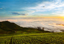 เพชรบูรณ์ : มาสัมผัสกับบรรยากาศทะเลหมอก และแหล่งท่องเที่ยวทางธรรมชาติ คอนโดเพชรบูรณ์,ทำเลน่าอยู่,ทำเลแนะนำ,ที่ดินเพชรบูรณ์,ที่เที่ยว เพชรบูรณ์,บ้านเดี่ยวเพชรบูรณ์,บ้านเพชรบูรณ์